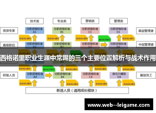 西格诺里职业生涯中常踢的三个主要位置解析与战术作用